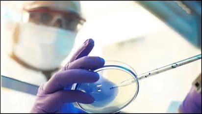 ബ്ലാക്ക് ഫംഗസിനും വൈറ്റ് ഫംഗസിനും പിന്നാലെ 'യെല്ലോ' ഫംഗസ്?