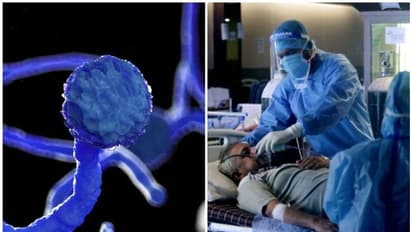 ബ്ലാക്ക് ഫംഗസ് പ്രമേഹമുള്ളവരിൽ ഗുരുതരമാകാൻ കാരണമെന്ത്...? ഡോക്ടർ പറയുന്നു