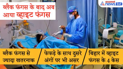 फेफड़े के अलावा दूसरे अंगों को भी करता है डैमेज, जानें कैसे ब्लैक फंगस से ज्यादा खतरनाक है व्हाइट फंगस?
