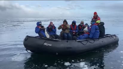 വിനോദസഞ്ചാരികളുടെ ബോട്ടിലേക്ക് കടലില്‍ നിന്ന് ചാടിക്കയറി അപ്രതീക്ഷിത അതിഥി; വീഡിയോ...