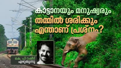 കാട്ടില്പ്പാര്ക്കുന്ന ആനകള്ക്ക് നാട്ടിലെന്താണ് കാര്യം?