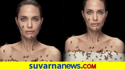 ಮೈ ತುಂಬಾ ಜೇನು ಹುಳ ತುಂಬಿಕೊಂಡು ನಟಿ ಏಂಜಲೀನಾ ಜೋಲಿ ಫೋಟೋಶೂಟ್!