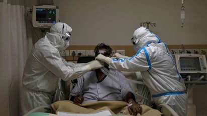 সাদা-কালোর পর করোনা-ত্রস্ত দেশে নতুন বিপদ হলুদ ছত্রাক, Yellow Fungus সম্পর্কে সব তথ্য জানুন