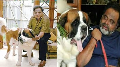 ಅಂಬರೀಶ್ ಪ್ರೀತಿಯ ಶ್ವಾನ ಕನ್ವರ್ ಇನ್ನಿಲ್ಲ!