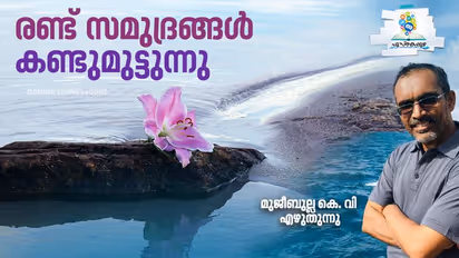 പ്രണയത്തിന്റെ നാല്‍പ്പത് നിയമങ്ങള്‍; ജീവിതത്തിന്റെയും