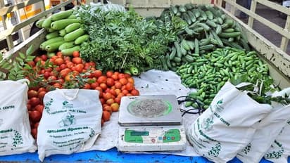 Karnataka Rain| 100ರ ಗಡಿ ದಾಟಿದ ತರಕಾರಿ, ಪೆಟ್ರೋಲಿಗಿಂತ ದುಬಾರಿ