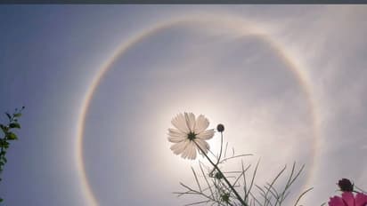 മഴവില്‍ സൂര്യന്‍; ബെംഗളൂരു ആകാശത്ത് അപൂര്‍വ്വ കാഴ്ചയൊരുക്കി സൂര്യന്‍