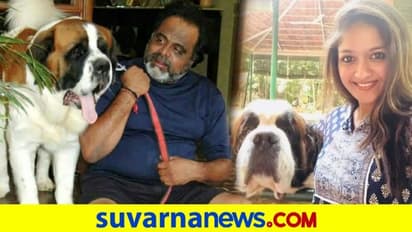 3 ದಿನಗಳ ಅಂತರದಲ್ಲಿ ಚಿರು ಹಾಗೂ ಅಂಬಿ ಮನೆ ಶ್ವಾನ ಸಾವು