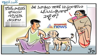 కోవిడ్ టెస్ట్: కుక్క వాసన చూస్తే చాలు..!!