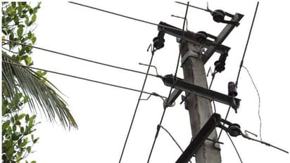 അട്ടപ്പാടിയിൽ വൈദ്യുതി ലൈൻ പൊട്ടി വീണ് ഒരാൾ മരിച്ചു