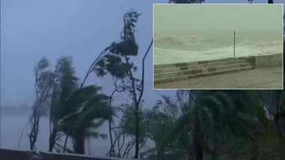 ఇండియాకి మరో తుఫాన్ ముప్పు: అరేబియా సముద్రంలో షహీన్  తుఫాన్, పలు రాష్ట్రాల్లో భారీ వర్షాలు