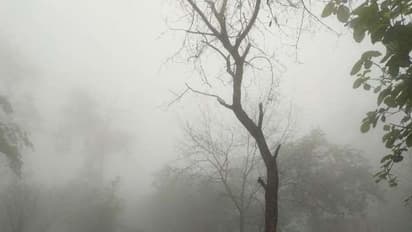 3 ರಾಜ್ಯಗಳಲ್ಲಿ ಯಾಸ್ ಭಾರೀ ಅನಾಹುತ : ಮುಂದುವರೆದ ಭಾರೀ ಮಳೆ