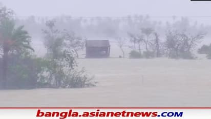 Cyclone Yaas: লাল চোখ ছিল ওড়িশায়, ঠিক কতটা ক্ষয়ক্ষতি হল প্রতিবেশী রাজ্যে