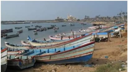 തൃശ്ശൂരില്‍ മത്സ്യബന്ധനത്തിന് അനുമതി; ആന്‍റിജന്‍ നെഗറ്റീവായവര്‍ക്ക് കടലില്‍ പോകാം