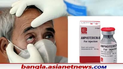 কালো ছত্রাকের প্রকোপ বাড়ছে, জেনে নিন সংক্রমণ মোকাবিলায় কী কী করছে কেন্দ্র