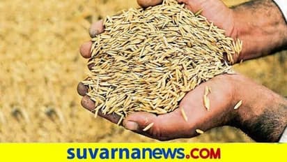 Minimum Support Price : ರೈತರೇ ಬೆಂಬಲ ಬೆಲೆ ಪಡೆಯಲು ನೋಂದಾವಣೆ ಮಾಡಿ