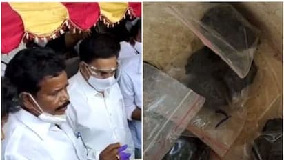 ஆந்திராவில் கொரோனாவுக்கு ஆயுர்வேத மருந்து.. ரகசிய இடத்தில் வைத்தியர்.. முக்கிய புள்ளிகளுக்கு பார்சல்.