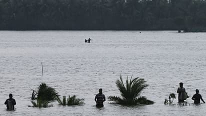 ಹೂವಿನಹಡಗಲಿ: ಭಾರೀ ಮಳೆಗೆ 300 ಎಕರೆ ಬೆಳೆಹಾನಿ