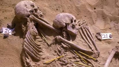 മനുഷ്യർ ആദ്യമായി പരസ്പരം പോരടിച്ചത് എന്ന്? എന്തിനു വേണ്ടിയായിരുന്നു ആ യുദ്ധം? തെളിവുകൾ പറയുന്നത്...