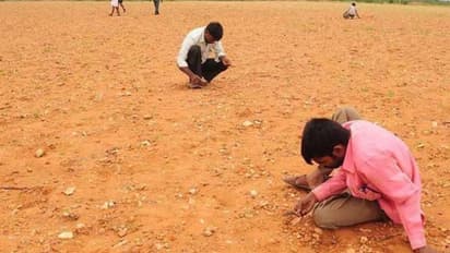 यहां खेतों में मिलता है हीरा! एक किसान ने कहा- मुझे 30 कैरेट मिला, 1.2 करोड़ रु में व्यापारी को बेचा