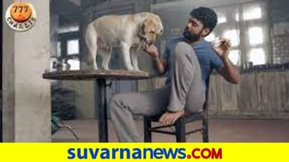 ರಕ್ಷಿತ್‌ ಶೆಟ್ಟಿಚಿತ್ರರಂಗ ಪ್ರವೇಶಿಸಿ 11 ವರ್ಷ!