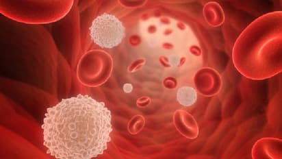 সর্বনাশ, অকারণে রক্ত জমাট বাঁধছে শরীরে,  সতর্ক না হলে মৃত্যু পর্যন্ত হতে পারে