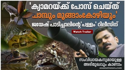 'ക്യാമറയ്‍ക്ക് മുന്നില്‍ പോസ് ചെയ്‍ത് പാമ്പും മുങ്ങാംകോഴിയും', പാറക്കുളത്തിലെ വിസ്‍മയിപ്പിക്കുന്ന കാഴ്‍ചകള്‍