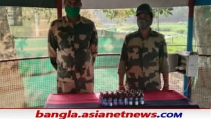 BSF-র জালে মহিলা পাচারকারী, উদ্ধার ২৪ বোতল ফেনসিডিল