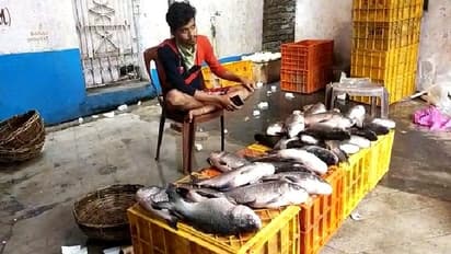 மீன்பிடி தடைக்காலம் : மீன் விலை கிடு கிடு உயர்வு! மீன்கள் வரத்து 50 சதவீதத்திற்கும் வீழ்ச்சி!