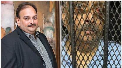 കോടികളുടെ വായ്പ്പാ തട്ടിപ്പ് നടത്തി ഇന്ത്യ വിട്ട മെഹുല്‍ ചോക്‌സി ജയിലില്‍; ചിത്രം പുറത്ത്