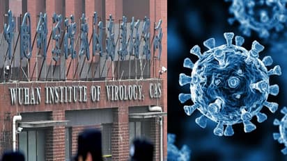 கொரோனா வைரஸை உருவாக்கியது வௌவால் லேடி என்ற பெண் வைராலஜிஸ்ட்..! ஆதாரங்களுடன் நிறுவிய குருமூர்த்தி