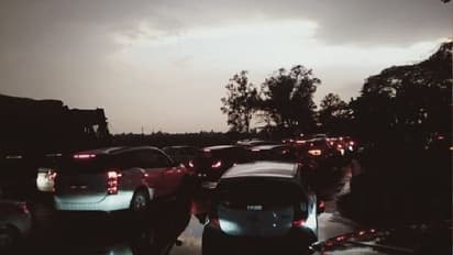 MP में तेज आंधी के साथ हुई बारिश, गिरने लगे पेड़ और सड़कें हुईं जाम..शाम 5 बजे लगा जैसे रात हो गई