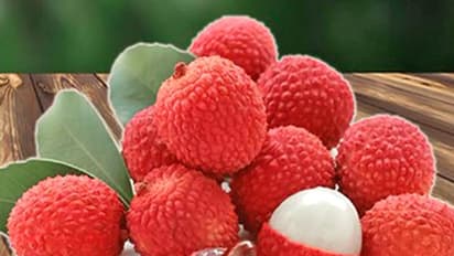 Death from litchi in Assam, death from litchi, Assam news