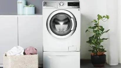 വാഷിങ് മെഷീനുള്ളിൽ അപ്രതീക്ഷിത 'അതിഥി'; അമ്പരന്ന് യുവതി; പിന്നീട് സംഭവിച്ചത്...