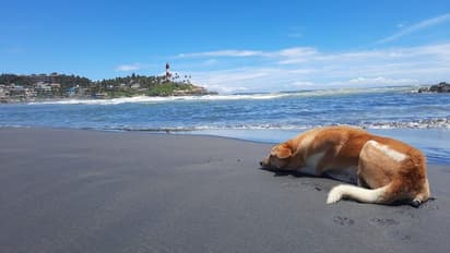 ഒരു ലക്ഷം വരെ സമ്മാനം; കേരളത്തിൽ താമസിക്കുന്ന മലയാളികൾക്ക് മാത്രം അവസരം, മത്സരം പ്രഖ്യാപിച്ച് മുഹമ്മദ് റിയാസ്