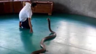 जब कोरोना सेंटर में घुस गया 6 फीट लंबा सांप..बेड छोड़ भागे मरीज और मेडिकल स्टाफ..जानिए फिर क्या हुआ