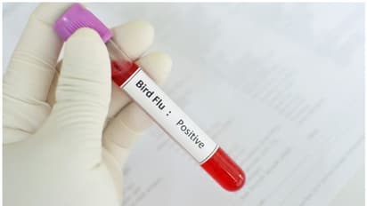 Bird Flu In Kerala: ಕೇರಳದಲ್ಲಿ ಮತ್ತೆ ಹಕ್ಕಿಜ್ವರ, ಕೋಳಿಗಳ ಮಾರಣ ಹೋಮ