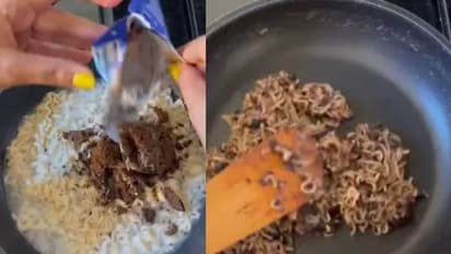 വീണ്ടും പാചക പരീക്ഷണം; 'ഇനിയെങ്കിലും ആ ന്യൂഡില്സിനെ വെറുതെ വിട്ടുകൂടെ'; ചോദ്യവുമായി സൈബര് ലോകം