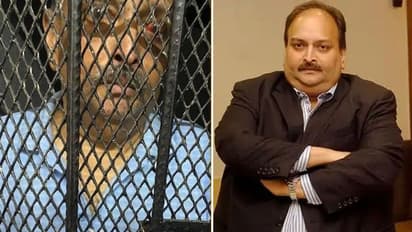 Dominica court denies bail to Mehul Choksi; wife claims he knew mystery woman