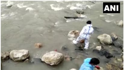 നദീതീരത്ത് അടിഞ്ഞ പകുതി കത്തിയ മൃതദേഹങ്ങൾ നായ്ക്കൾ കടിച്ചുവലിക്കുന്ന ഭീതിദമായ കാഴ്ച; ആശങ്കയോടെ പ്രദേശവാസികൾ