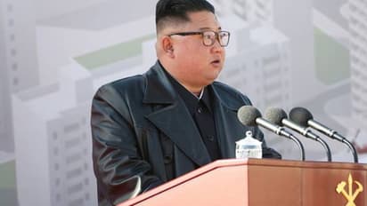 കൊവിഡ് വ്യാപനം തടയാൻ പൂച്ചകളെയും പ്രാവുകളെയും കൊന്നൊടുക്കണമെന്ന് കിം