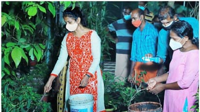 ആഫ്രിക്കന് ഒച്ചുകളെ കൂട്ടത്തോടെ നശിപ്പിക്കും; 'ഒച്ച് രഹിത ഗ്രാമം' പദ്ധതിയുമായി ഈ പഞ്ചായത്ത്