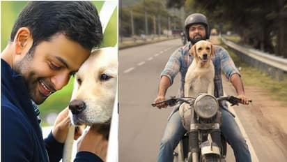 രക്ഷിത് ഷെട്ടിയുടെ ‘777 ചാര്‍ലി‘യുമായി പൃഥ്വിരാജ് പ്രൊഡക്ഷൻസ്; ഒത്തിരി സന്തോഷമെന്ന് താരം