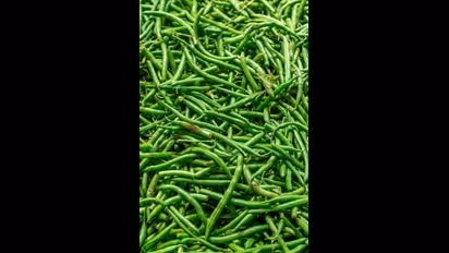 ಖಾರ ಎಂದು ಹಸಿ ಮೆಣಸಿಕಾಯಿ ದೂರ ಇಡಬೇಡಿ... ಆರೋಗ್ಯಕ್ಕೆ ಬೇಕು