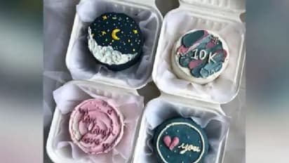 'ബെന്റോ കേക്ക്' കേട്ടിട്ടുണ്ടോ? ഇന്ത്യയിലും ട്രെന്‍ഡ് ആയി ഈ 'സ്‌പെഷ്യല്‍' കേക്ക്...