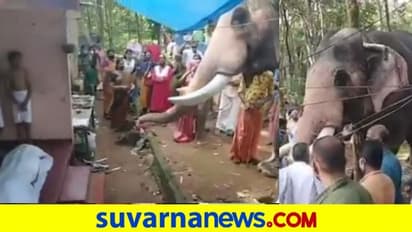 ಮರೆಯಾದ ಮಾವುತನಿಗೆ ಗಜರಾಜನ ಕಣ್ಣೀರ ವಿದಾಯ; ವಿಡಿಯೋ