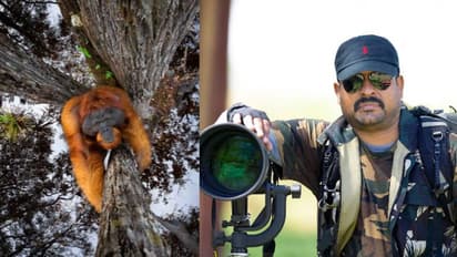 മരത്തിന് മുകളില് മണിക്കൂറുകളുടെ കാത്തിരിപ്പ്; മലയാളി ഫോട്ടോഗ്രാഫര്ക്ക് അന്തര്ദേശീയ പുരസ്കാരം