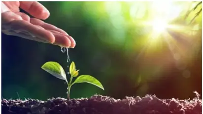 ഇന്ന് ലോക പരിസ്ഥിതി ദിനം; പ്രകൃതിയെയും ഭൂമിയെയും സംരക്ഷിക്കാം