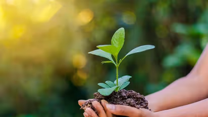 World Environment Day 2022 : ലോക പരിസ്ഥിതി ദിനം ജൂൺ 5 ന്; വിവിധ പദ്ധതികളുമായി യുഎന്ഇപി