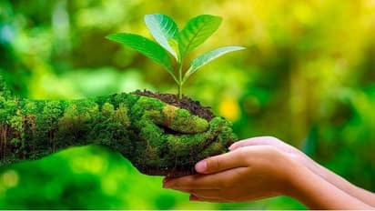 Plants Respond to Pain: ಪ್ರಾಣಿಗಳಷ್ಟೇ ಅಲ್ಲ, ನೋವಾದಾಗ ಸಸ್ಯಗಳೂ ಕಿರುಚುತ್ತವೆ ಗೊತ್ತಾ?